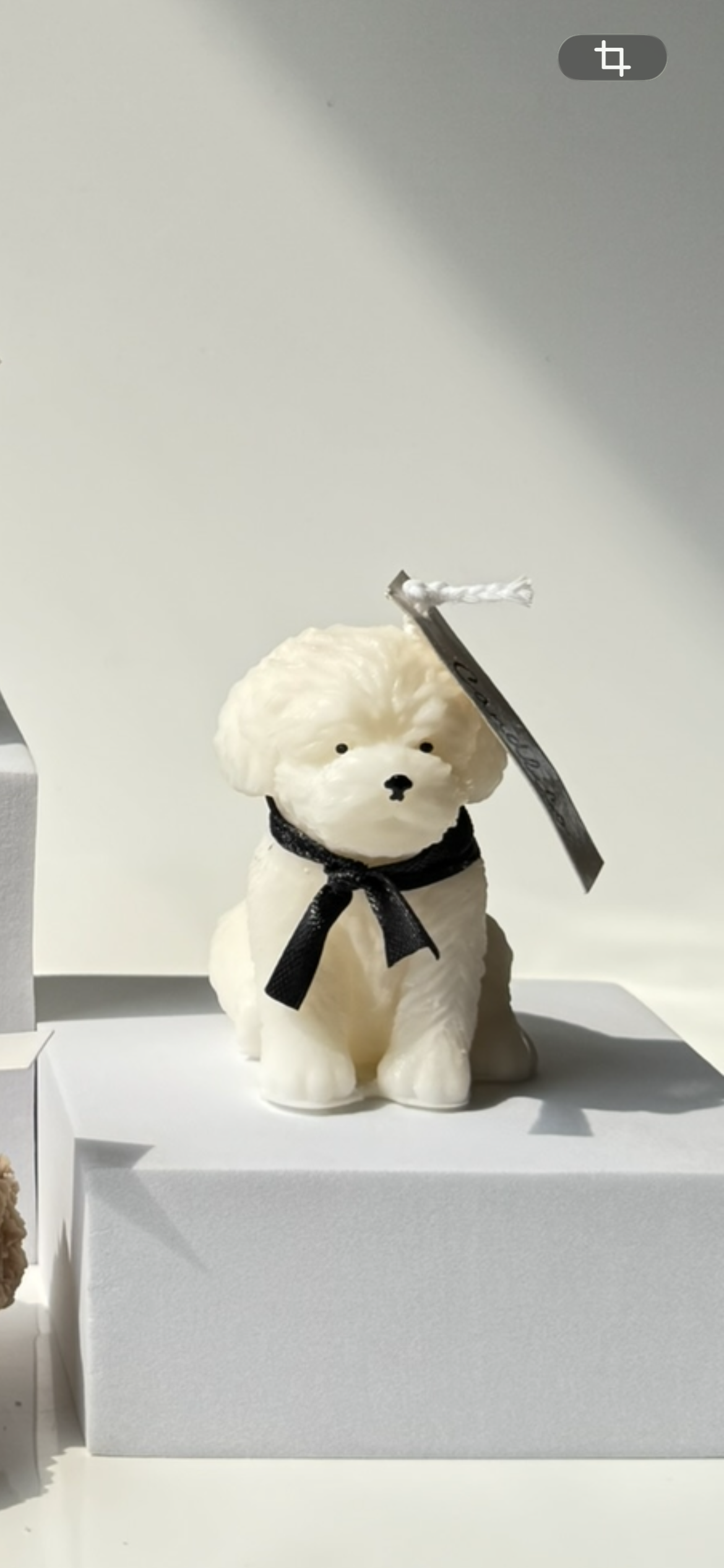 Puppy Candle