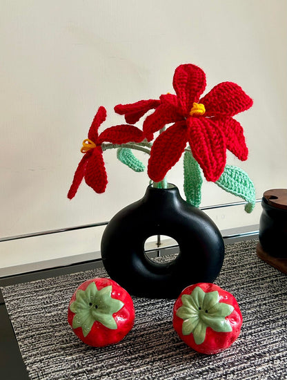 Scarlet Devotion - Crochet Collection