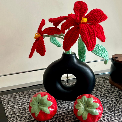 Scarlet Devotion - Crochet Collection