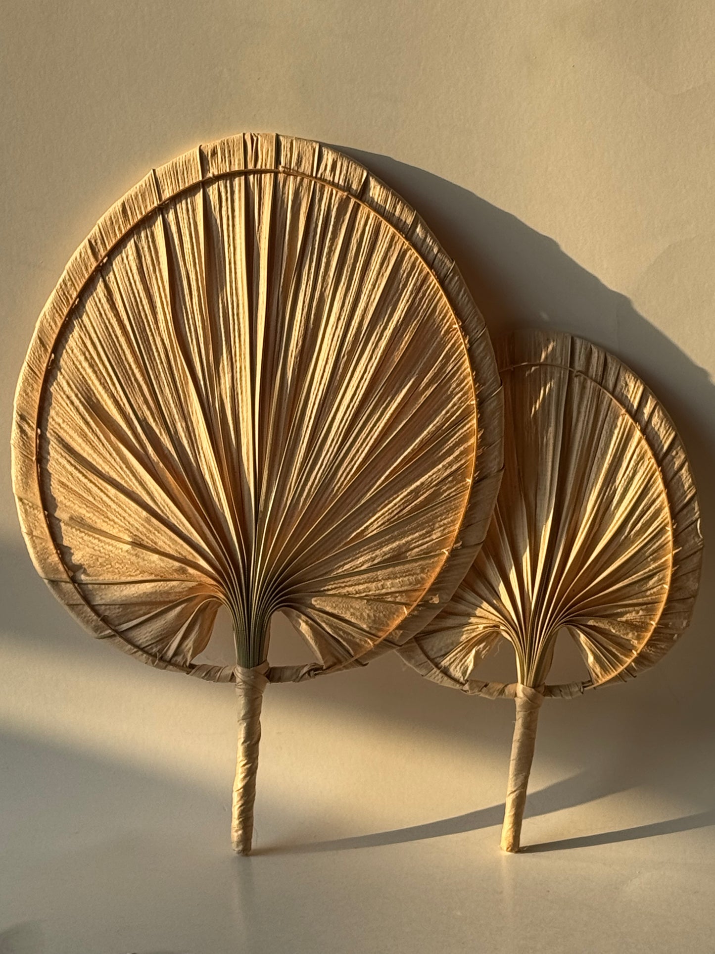 Palm Leaf wall hanging