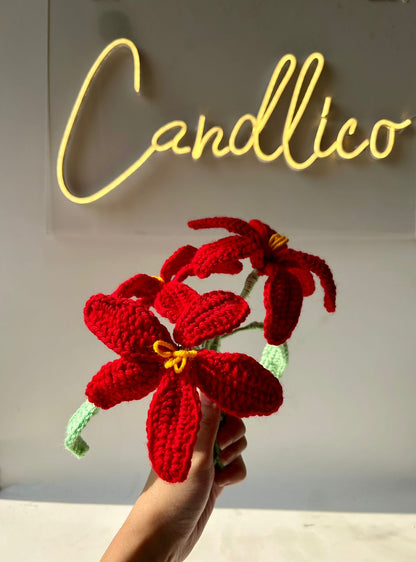 Scarlet Devotion - Crochet Collection